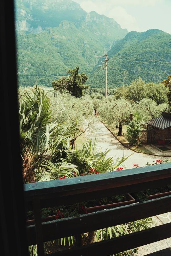 Az. Agr. Tenuta La Casetta Mama di Sopra Exterior foto
